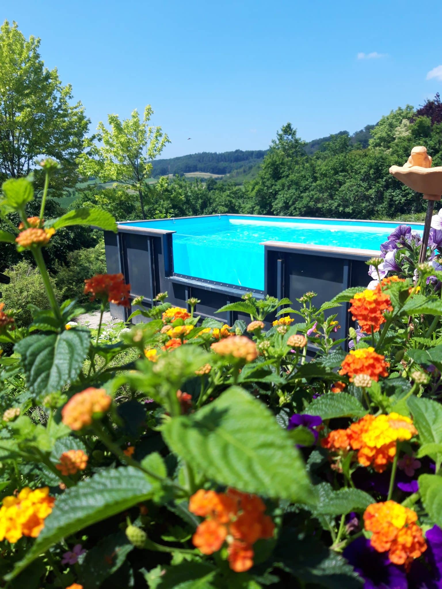 Lire la suite à propos de l’article Une piscine semi-enterrée à Luxembourg