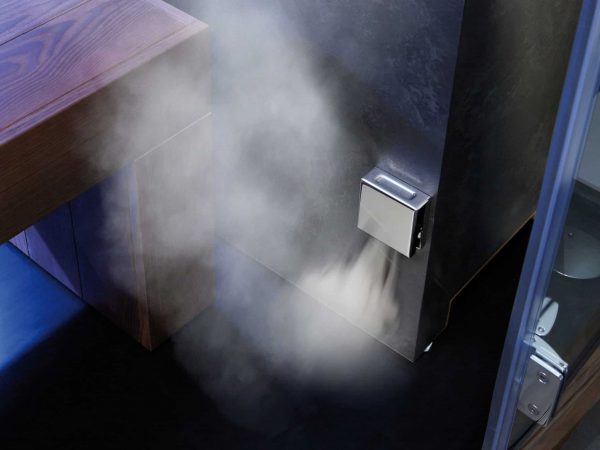 générateur de vapeur hammam 3en1